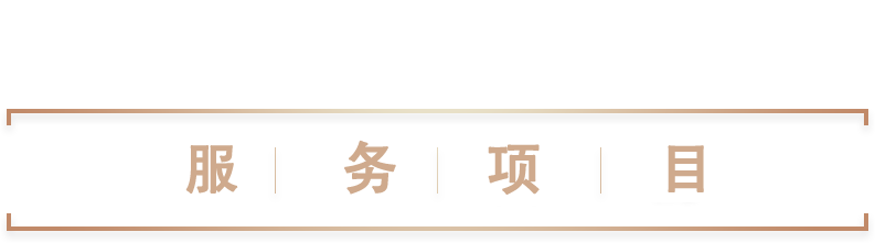 服务项目