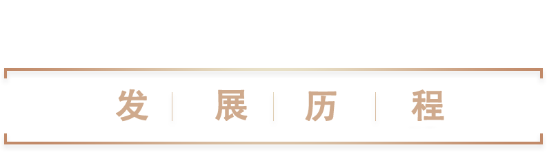 发展历程