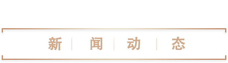 新闻动态
